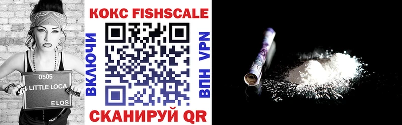 КОКАИН Fish Scale  цены   Дубна 