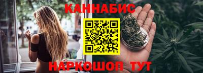 крисы Кулебаки