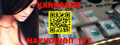 крисы Кулебаки