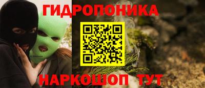 крисы Кулебаки