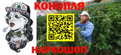 крисы Кулебаки