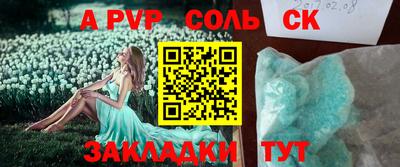 крисы Кулебаки