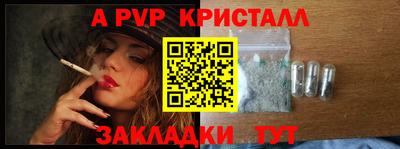 крисы Кулебаки