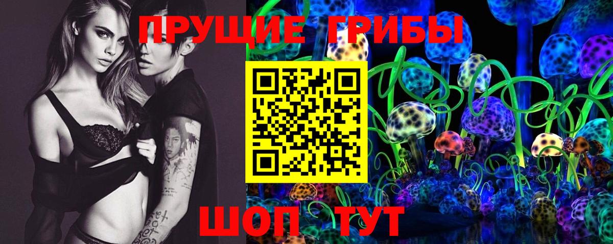 Дубна  Псилоцибиновые грибы Psilocybine cubensis  Галлюциногенные грибы мухоморы  Вход с VPN 