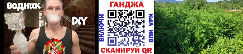 Канабис OG Kush  Дубна 