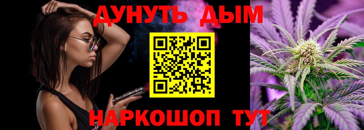 Марихуана сатива Дубна